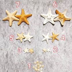 ستاره دریایی رزینی