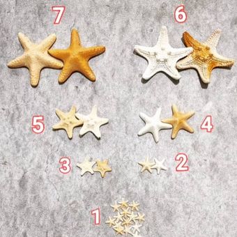 ستاره دریایی رزینی