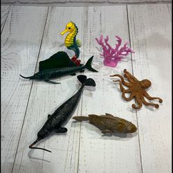 پک حیوانات دریایی