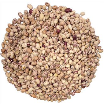 محصول لوبیا چیتی