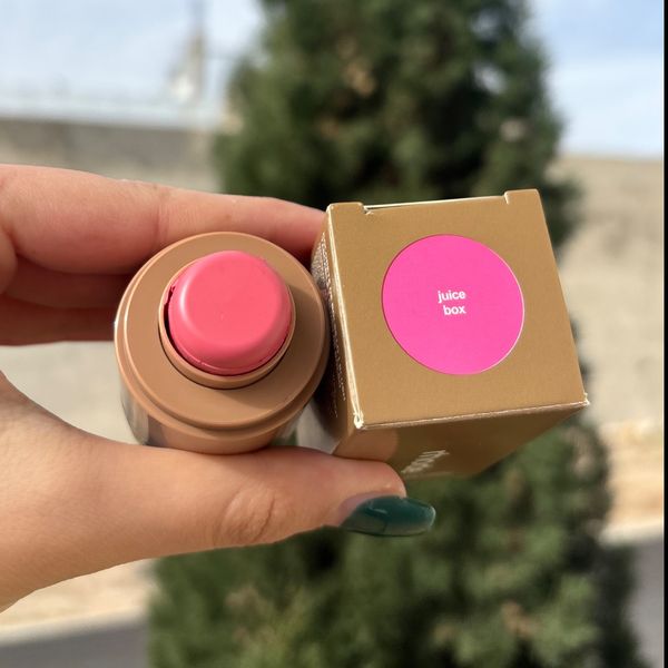 رژگونه استیکی رود rhode