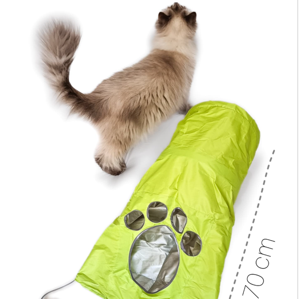 تونل بازی گربه / Cat tunnel