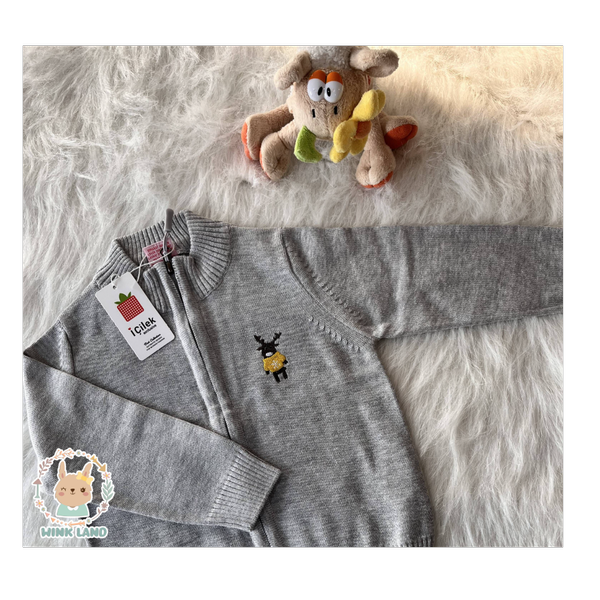 ژاکت پسرانه آی چیلک مدل پانی