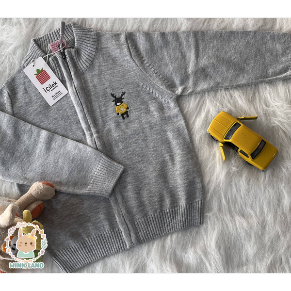 ژاکت پسرانه آی چیلک مدل پانی