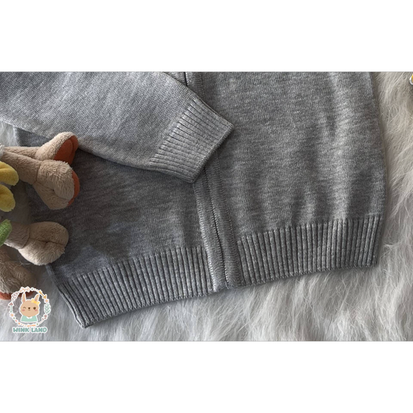 ژاکت پسرانه آی چیلک مدل پانی