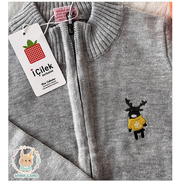 ژاکت پسرانه آی چیلک مدل پانی