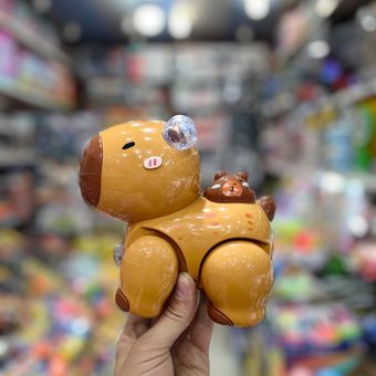 کاپی بارا موزیکال ، دودزا