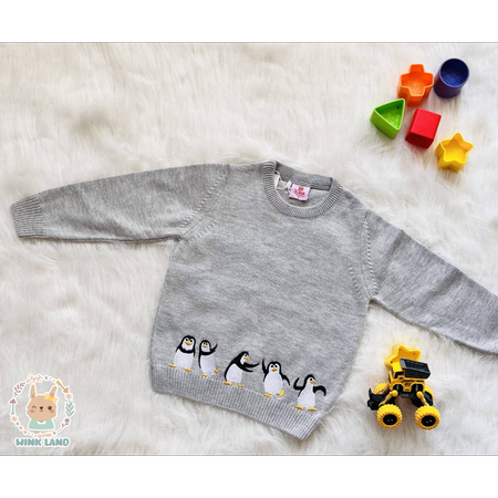 پلیور پنگوئنی