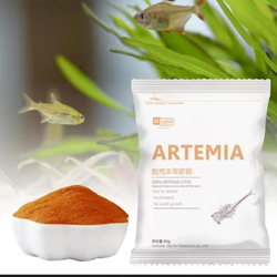 آرتمیا دکپسوله 60 گرمی برند yee