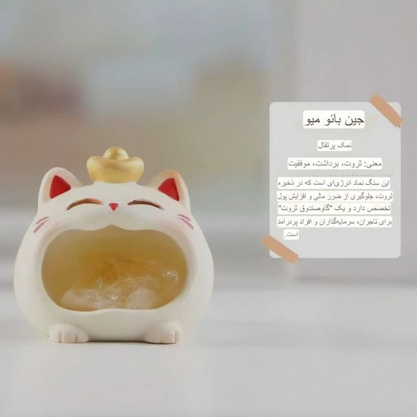 بلایند باکس گربه جذب پول ✨