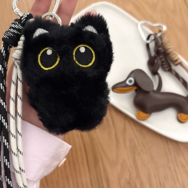 چارم بگ انیمال 🐾
