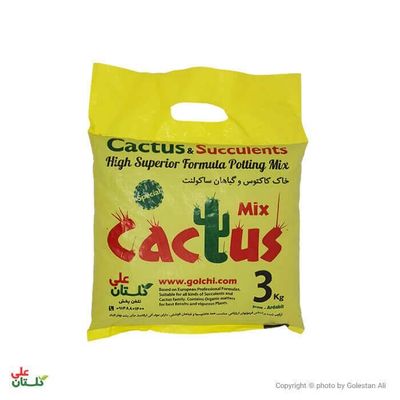 خاک کاکتوس و ساکولنت