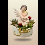 گلدان مجموعه ساکولنت با فیگور فرشته
