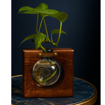 گلدان رومیزی پاور