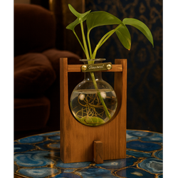 گلدان ونوس لاکچری