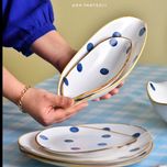 سرویس دفرمه خالدارآبی