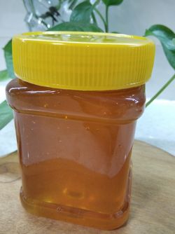 عسل ویژه (دارویی) شوید هانی شاپ نیم کیلویی