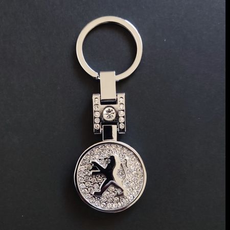 جاسوئیچی نگین دار اورجینال نقره ای