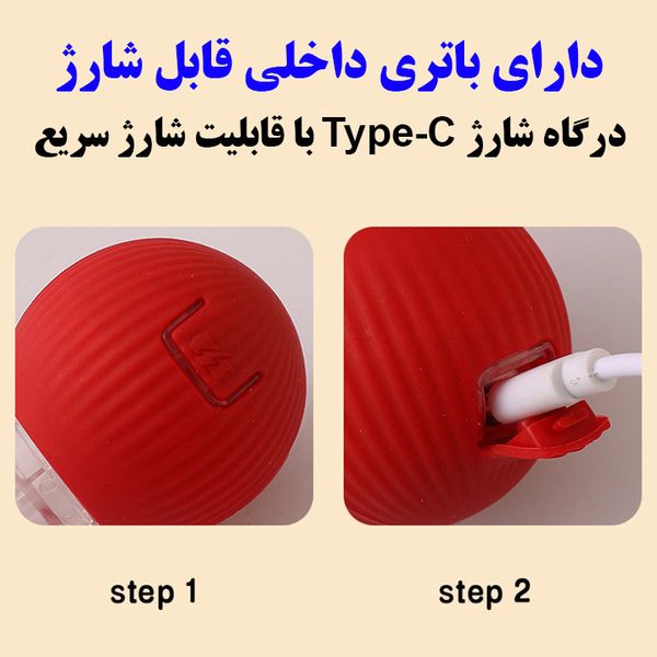 توپ هوشمند پت