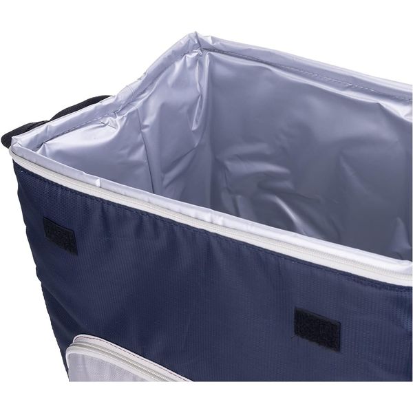 کیف خنک نگهدارنده کمپینگاز مدل Fold N Cool کد G2025 گنجایش 30 لیتر