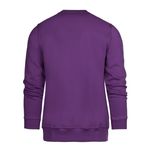 سویشرت مردانه مدل SB-SS-3646-D4
