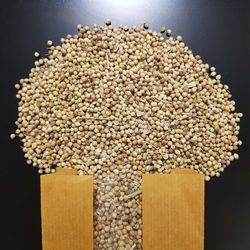 تخم گشنیز - 100 گرم