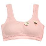 نیم تنه دخترانه مدل پد دار کد SO 51