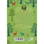 رابین هود(رنگین کمان کلاسیک 8)