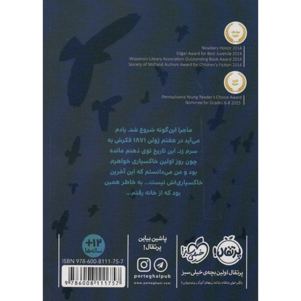کبوتر های وحشی