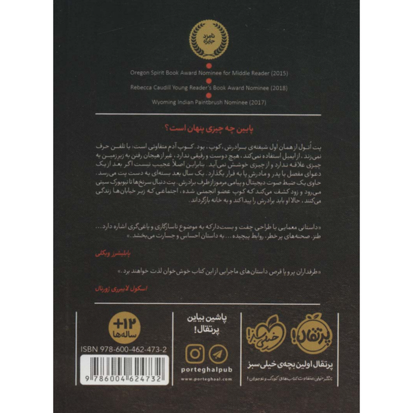 پایین