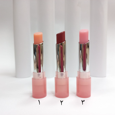 بالم لب دراگون