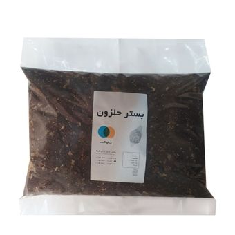 خاک بسترحلزون