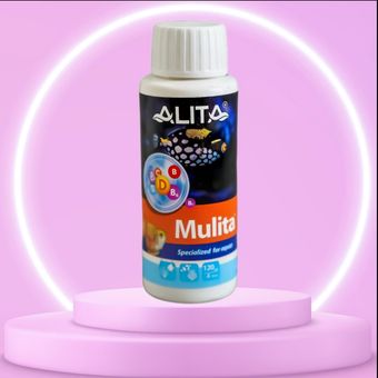 مولتی ویتامین آلیتا
