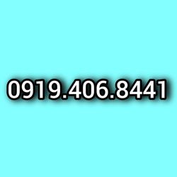 0919.406.8441