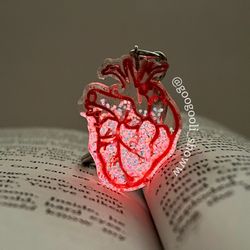 سرکلیدی آناتومی قلب🫀