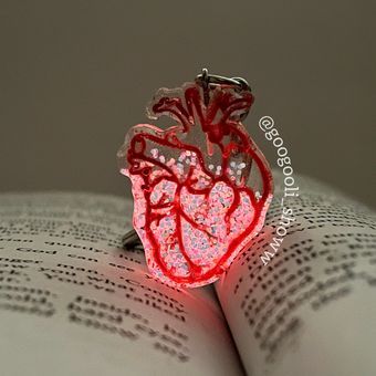 سرکلیدی آناتومی قلب🫀