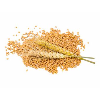 گندم پاک شده ممتاز اصفهان