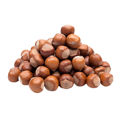 فندق با پوست خام ایرانی