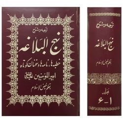 کتاب ترجمه و شرح نهج البلاغه جلد 1_6