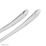 سرویس قاشق و چنگال 12 پارچه ام جی اس مدل 020