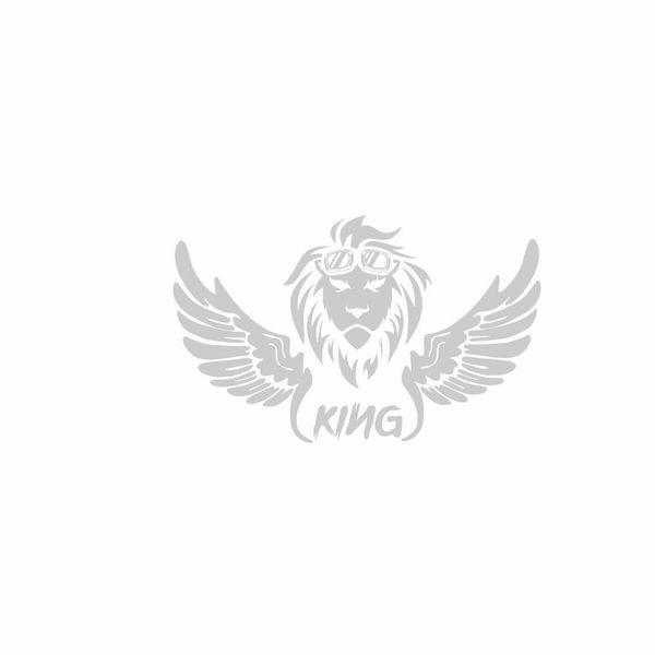 برچسب بدنه خودرو رادیانس طرح kingکد B67