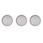 بشقاب غذاخوری زی مدل فرم اس 27 روشان درجه عالی بسته 3 عددی