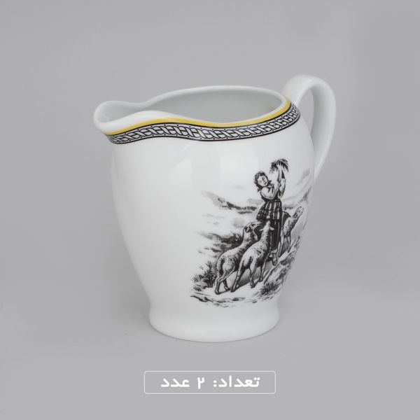 سرویس چینی 102 پارچه غذا خوری چینی زرین ایران سری ایتالیا اف مدل ویلیج درجه یک