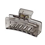 کلیپس مو زنانه مدل 1203