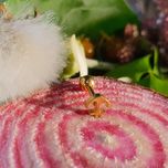 پیرسینگ گوش کد PS320