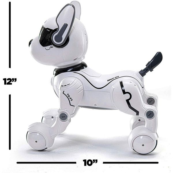 ربات کنترلی