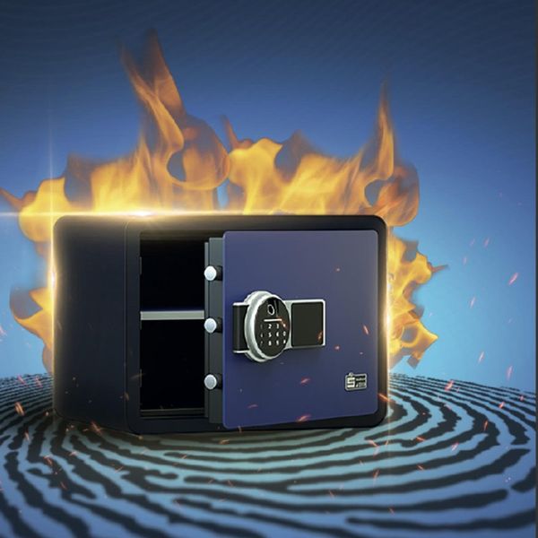 گاوصندوق الکترونیکی سدید مدل هومسیف اثرانگشتی-لمسی کد HS-FT