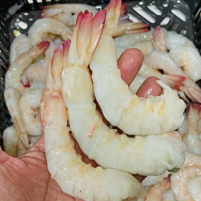 میگو صورتی بوشهر سایز درشت 30 تا 40 عدد