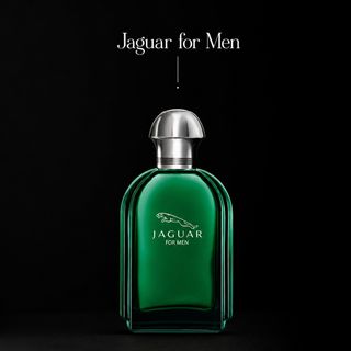 عطر ادکلن جگوار کلاسیک سبز 100 میل اورجینال Jaguar for Men