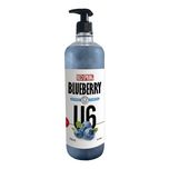 شامپو روزانه سگ رداسپرینگ مدل عصاره بلوبری U6 حجم 850 میلی لیتر
